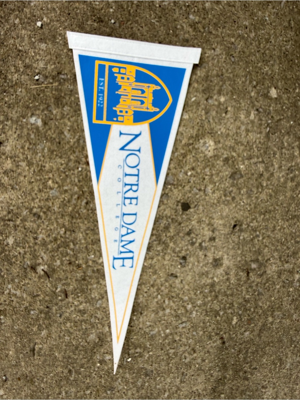 Notre Dame college Blue & Gold Pennant
